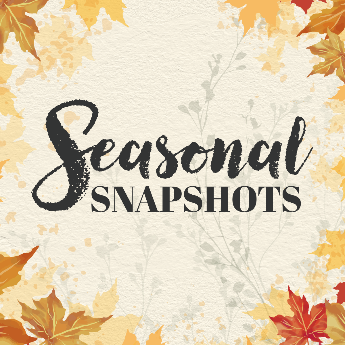 Welcome to Seasonal Snapshots!
